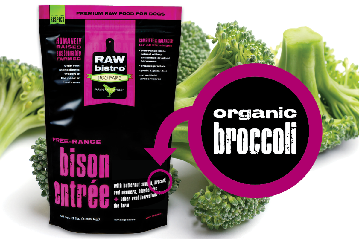 Can Dogs Eat Broccoli Benefits of Broccoli for Dogs Raw Bistro