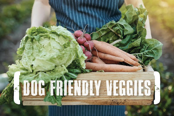 10 Dog-Friendly Vegetables for a Healthy Pup