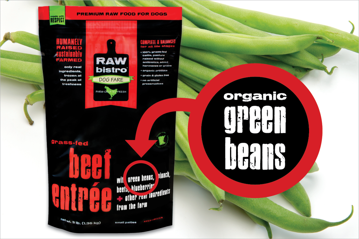 Green Beans for Dogs Discover the Key Benefits Raw Bistro