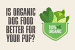 Is Organic Dog Food Better for Your Pup?