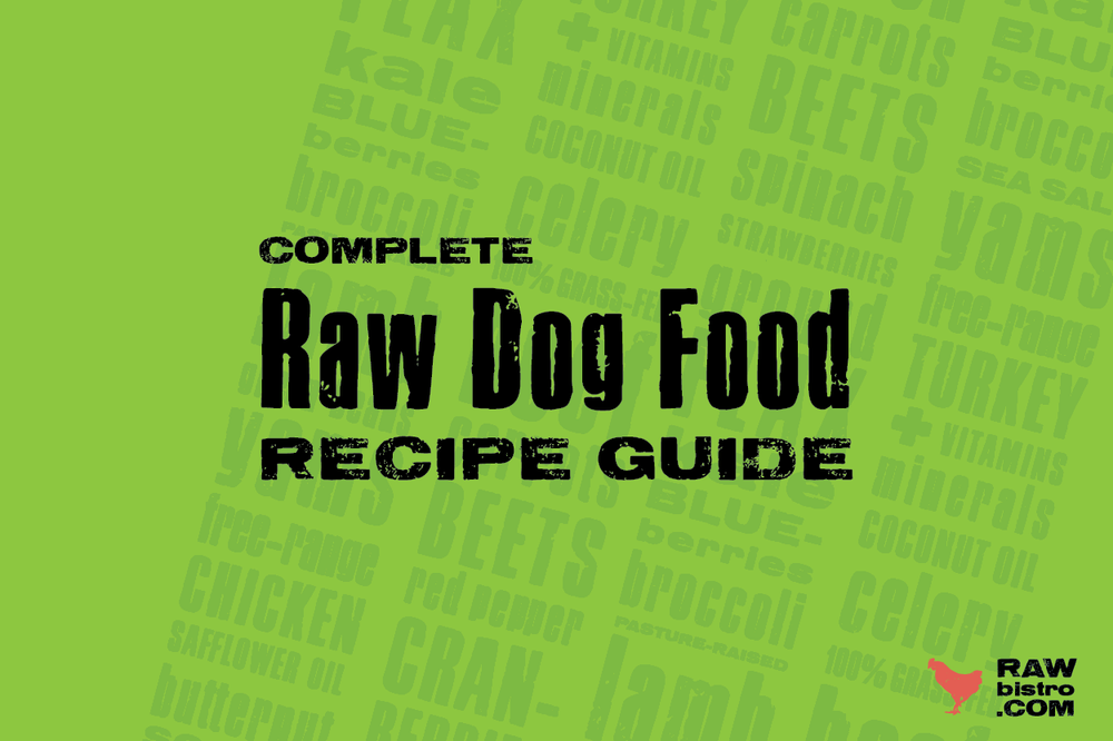 Complete Raw Dog Food Recipe Guide