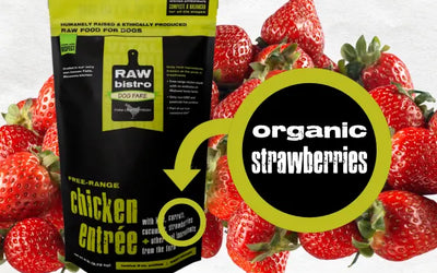 package of organic strawberries ready for your puppy to eat