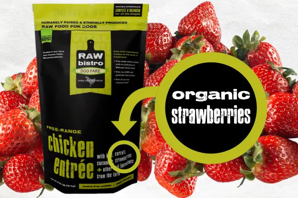 package of organic strawberries ready for your puppy to eat