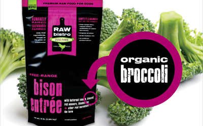 Organic broccoli