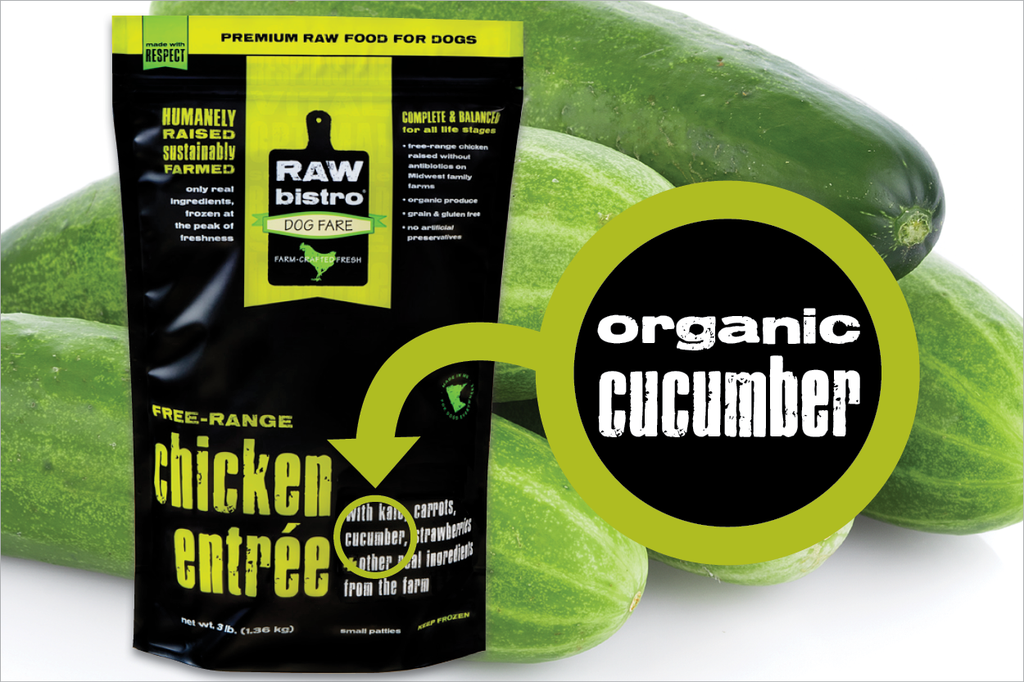 Can dogs on sale have raw cucumber