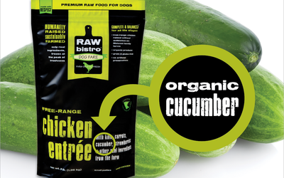 Organic cucumber. Black and yellow bag premium for dogs