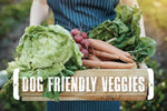 Dog friendly veggies text and vegetables 