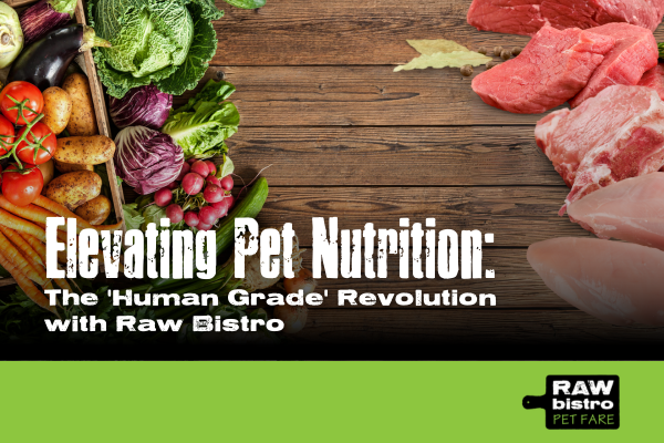 Elevating Pet Nutrition: The 'Human Grade' Revolution with Raw Bistro