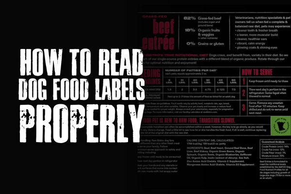 How to Read Dog Food Labels Properly