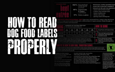 Title of How to read dog food labels PROPERLY 