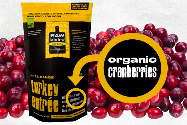 How to Safely Serve Cranberries to Dogs