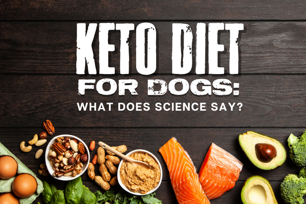 Title of "KETO DIET FOR DOGS: WHAT DOES SCIENCE SAY?"