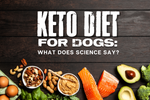 Keto Diet for Dogs: What Does Science Say?