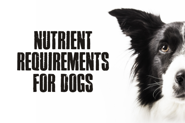 title of NUTRIENT REQUIREMENTS FOR DOGS and next a dog