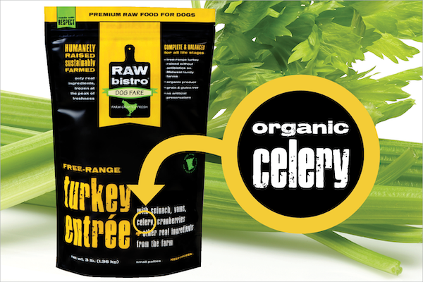 Is celery best sale safe for dogs