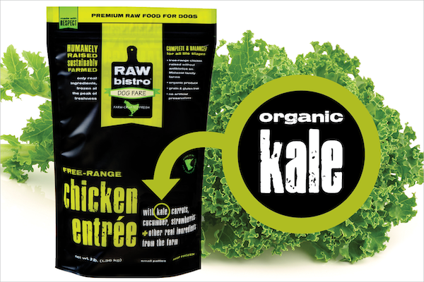 Kale: 7 Benefits, Nutrition, and Who Should Avoid It