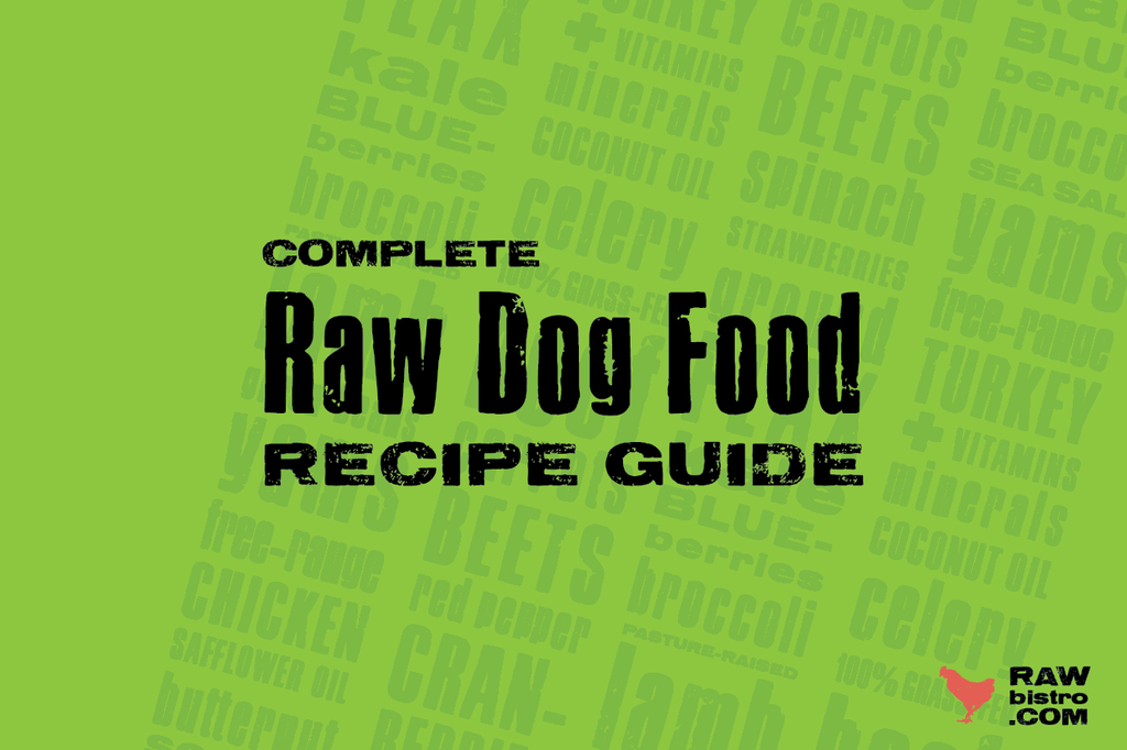 Example of Balanced Raw Dog Food Recipe - Easy to Follow