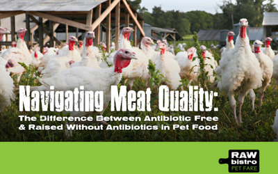 Navigating Meat Quality: The Difference Between Antibiotic Free and Raised Without Antibiotics in Pet Food 
