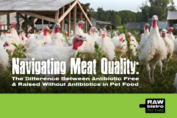 Navigating Meat Quality: The Difference Between Antibiotic Free and Raised Without Antibiotics in Pet Food