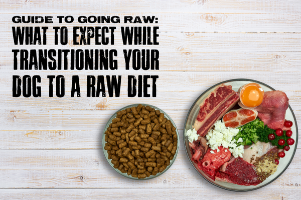 Guide to Going Raw: What to Expect While Transitioning Your Dog to a Raw Diet