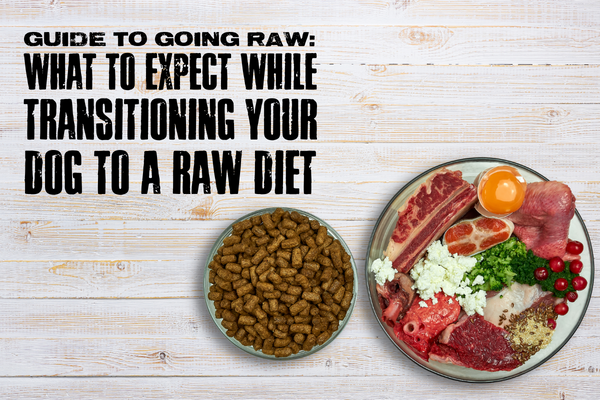 Title of GUIDE TO GOING RAW: WHAT TO EXPECT WHILE TRANSITIONING YOUR DOG TO A RAW DIET
