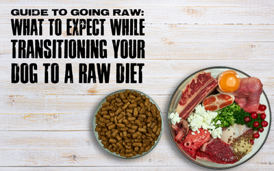 Title of GUIDE TO GOING RAW: WHAT TO EXPECT WHILE TRANSITIONING YOUR DOG TO A RAW DIET