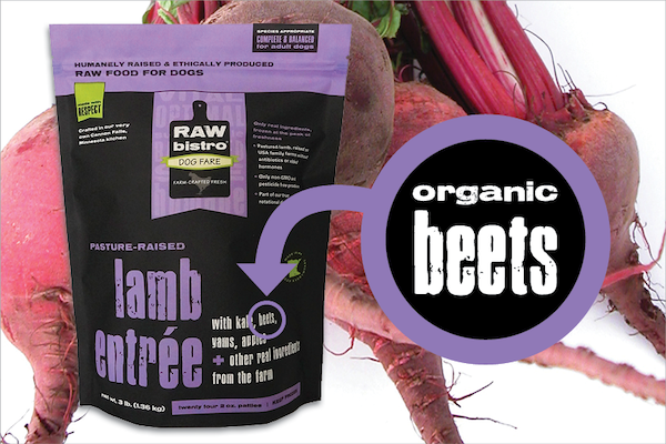 Can Dogs Eat Beets? Benefits of Beets for Dogs – Raw Bistro