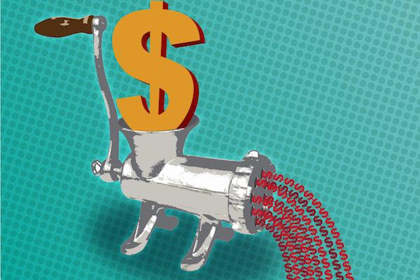 feeding dog raw on a budget