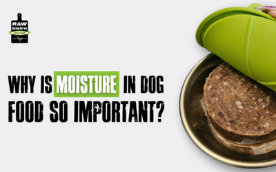 Why Is Moisture in Dog Food So Important?