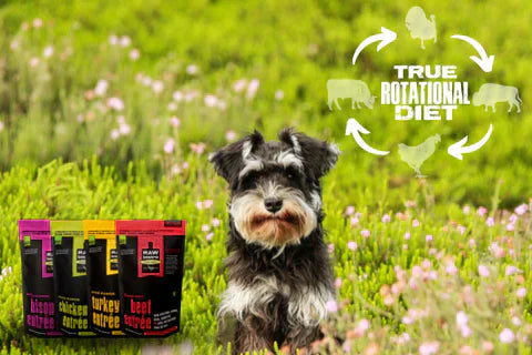 4 bags next to a dog and a Ttitle of TRUE ROTATIONAL DIET