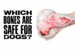 Which Bones are Safe for Dogs?