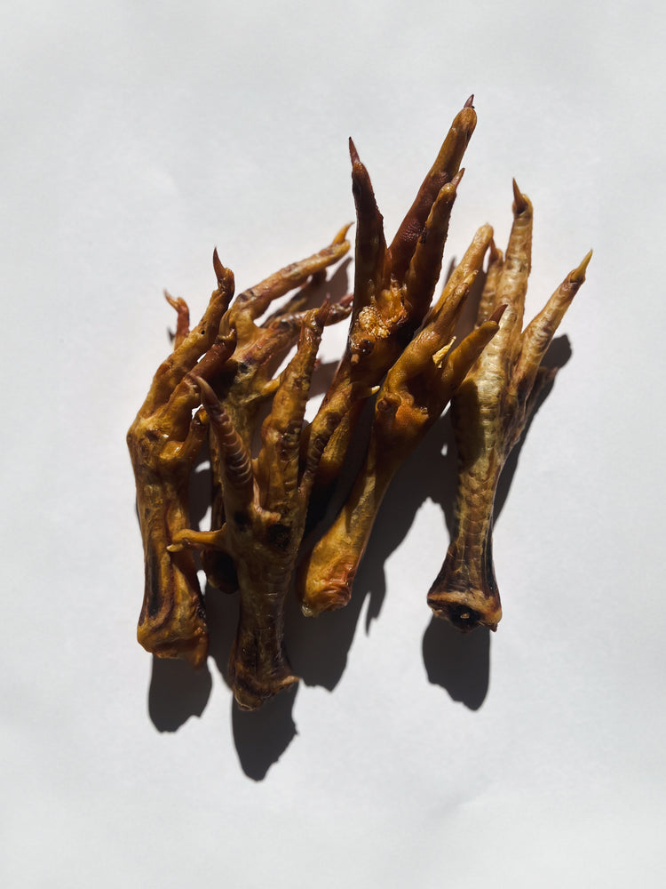 Dried chicken feet on a white background
