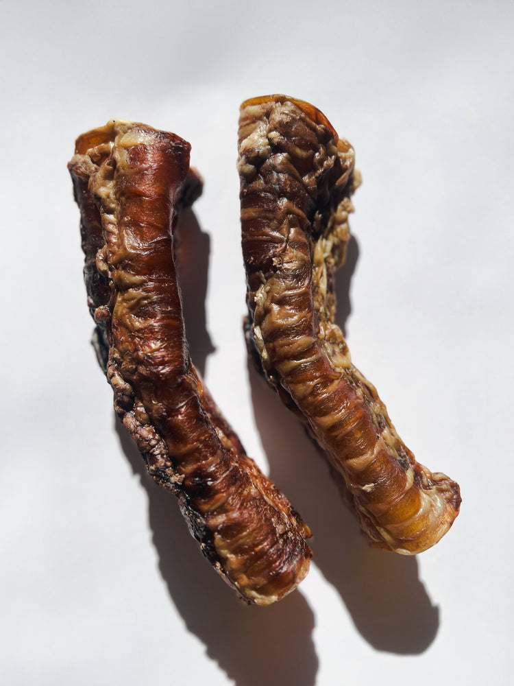 Two dried insect larvae on a white background