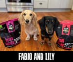 fabio and lily dogs