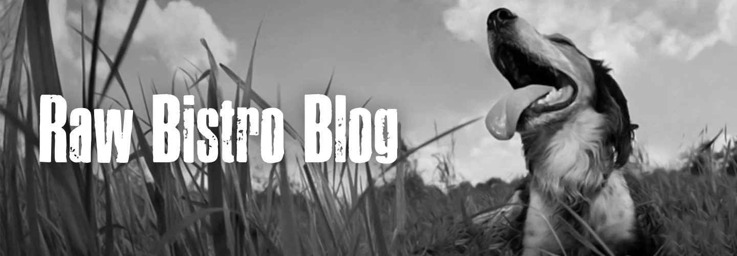 B.A.R.F. Diet for Dogs A Complete Guide Raw Bistro